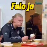 Haaland animado