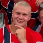 Memes Haaland