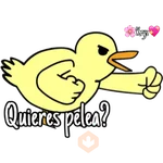 💗Patitos🦆