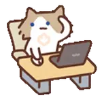 Gato Godín de oficina 🐱🖥️👔 XD
