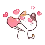 Gato en tu chat 🐈🗨️📲