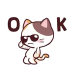 Gato en tu chat 🐈🗨️📲
