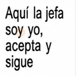 📝🥊 TEXTO BRAT PARA PELEAR 🥊📝