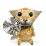 Tiktok gato