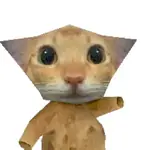 Tiktok gato