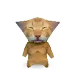 Tiktok gato