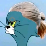 Haaland memes