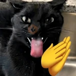Gatinhos + Emojis 😻