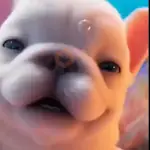 🐶 Perro Pibble TikTok