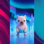 Pibble Dog Perro Pibble 🐶🐕🐶