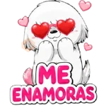 Beloni Enamorado 🐾✨💗❤️
