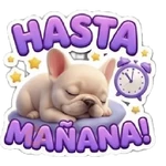 Perro Pibble Frases 🐾✨