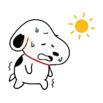 Snoopy Summer ⛱️🌞