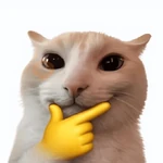 gatos reações