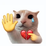 gatos reações