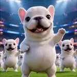 PERRO 🐶 PIBBLE