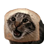 Gatos en pan 🤣 - Memes