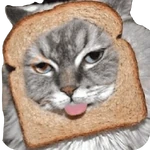 Gatos en pan 🤣 - Memes