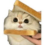 Gatos en pan 🤣 - Memes