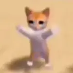 gatos