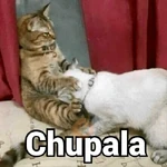 Chimuelote - Lautaro Merkel