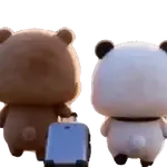 Dudu y Bubu 🐼🐻