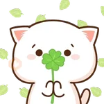 Mochi & cats 😻