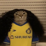 Cucurella (Marc) 🇪🇸⚽️🏆