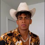 animados tik tok