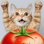 Gatos Tomate