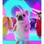 Pibble - Perrito blanco