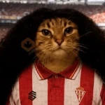 🇪🇦🐱 Gato Cucurella 🐱🇪🇦