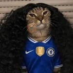 🇪🇦🐱 Gato Cucurella 🐱🇪🇦