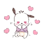 Pochaco 🐶🤍