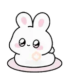 Happy Cute Rabbit ✨🐰