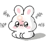 Happy Cute Rabbit ✨🐰