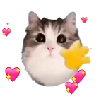 Gatinhos oi tchau