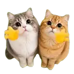 Gatinhos oi tchau