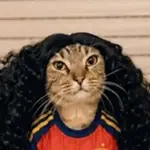 Gato Cucurella 🐱✨
