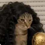 Gato Cucurella 🐱✨