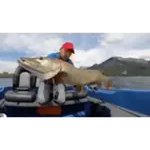 Pesca