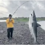 Pesca