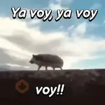 Pequeño Erizo frases 🦔💬