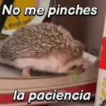 Pequeño Erizo frases 🦔💬