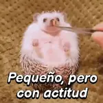 Pequeño Erizo frases 🦔💬