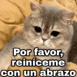 Gatos con amor 5 😻🪄💖