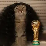 🇪🇸⚽️🐈 GATO CUCURELLA 🐈⚽️🇪🇸