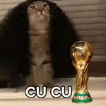 🇪🇸⚽️🐈 GATO CUCURELLA 🐈⚽️🇪🇸