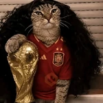 gato cucurella 😎