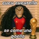 gato cucurella 😎